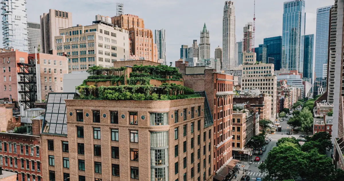 tribeca